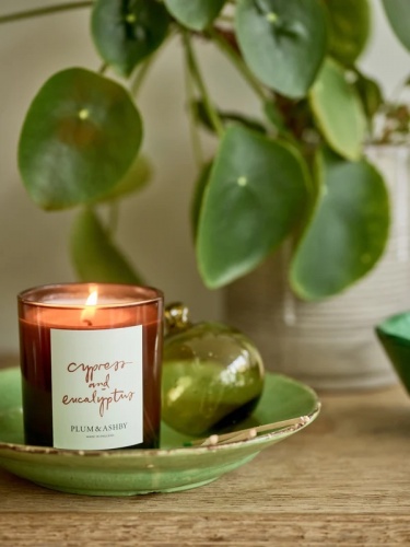 Cypress and Eucalyptus Scented Candle by Plum & Ashby